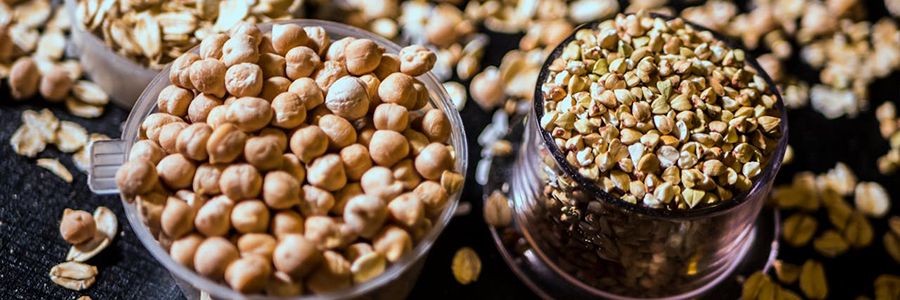 Šta su posni proteini i zašto su zdravi?